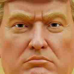 Donald Trump Mask