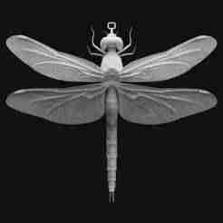 Dragonfly Pendant Sculpture