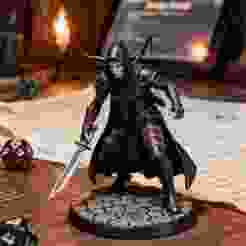 Drow Assassin Figurine STL | Dark Elf Rogue 3D Print Model