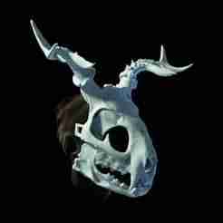 Druid skull mask that fits a human face.