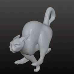 Dynamic Cat Sculpture