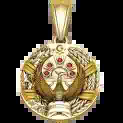 Eagle Rising Broach Pendent