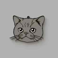 Exotic Shorthair Cat Key Chain