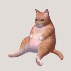 Fat cat 1/64