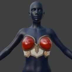 Female Knight Blood Bra