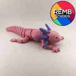 Flexi Axolotl | Print-in-place | No Support