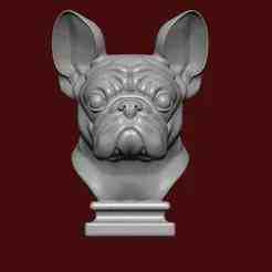 French Bull dog face bust