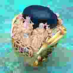 Fu Lu Shou ring - Three Gods ring - God of Wealth ring - N845