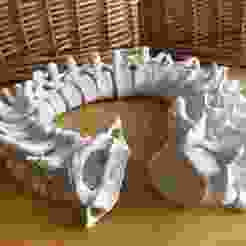 Full-Size Articulating Human Spine / Anatomically Accurate Articulated Spine