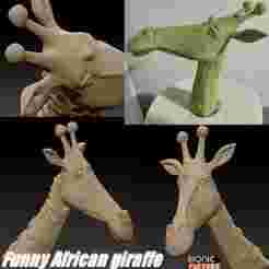 funny African giraffe