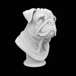Funny Pug Bust 3D Print Model