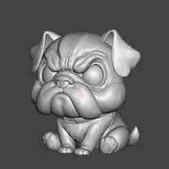 G51 angry-looking dog