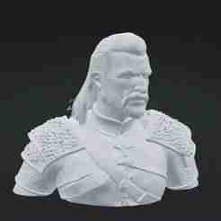 Geralt of Rivia in STL - 3D Figure for Printing and Collectors