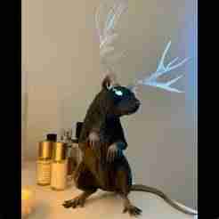 Glowing eyed standing rat