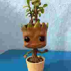 GROOT