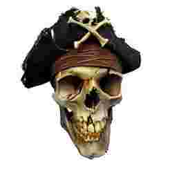 H37 pirate skull