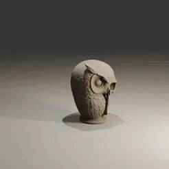 Half Owl Human Skull