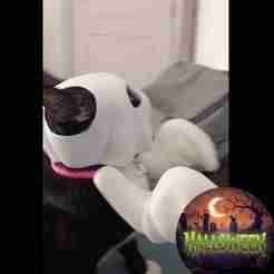 Halloween cat costume, ghost helmet, ghost mask halloween theme