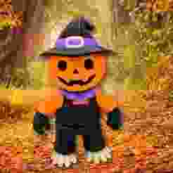 Halloween Pumpkin Jack o' Lantern Scarecrow scarecrow