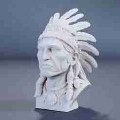 Indian Chief Bust