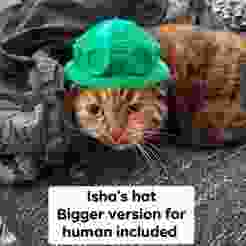 Isha Arcane Hat - for pet and human cosplay