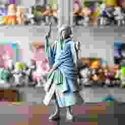 Izou - Whitebeard Pirates - ONE PIECE