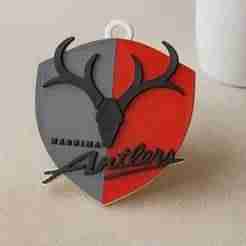 J1 Kashima Antlers keychain badge color printable and renderable