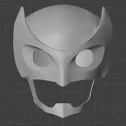 Justice league Crisis on Two Earths Owlman Cowl