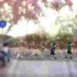 kindergarten children v2