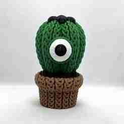 Knitted Eye Cactus