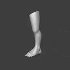 Leg for dolls - free STL file