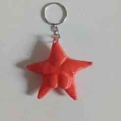 ⭐🌊 🔑 Llavero Estrella Culona Conicet