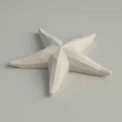 Low Poly Starfish 3D Model – STL File for 3D Printing