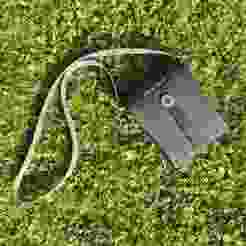 lucid noir lueur - 3d printable tpu handbag