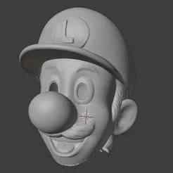 Luigi_Bros_ cosplay (botarga)