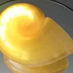 Magic shell necklace - The Little Mermaid