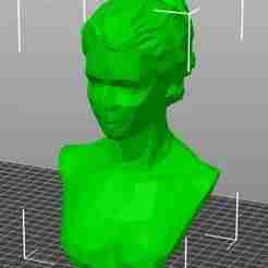 maniqui jewelry jewelry display