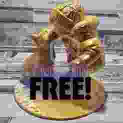 Mans best friend dog model