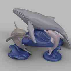 Marine Animal 3D Printable Set - Dolphin - Humpback Whale - Shark