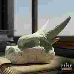 Mega Charizard X Skull - Halloween - Decoration