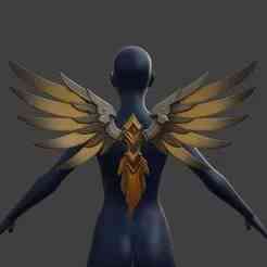 Mercy Wings