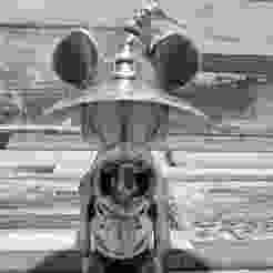 Mickey Halloween Pumpkin model