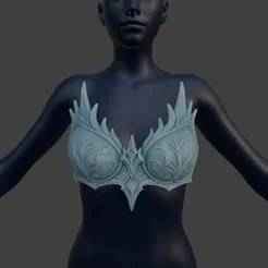 ❄️ Nilfheim Bra Armor