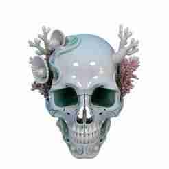 Oceanic Reverie Skull