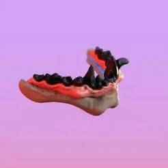 Oni Jaw Helmet Mount / Decor