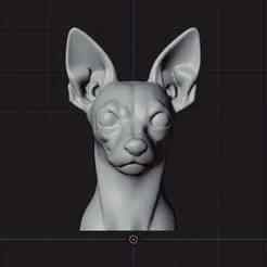 Pinscher Dog Bust - STL 3D File