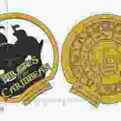 Pirates Theme Park ears