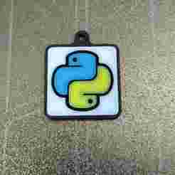Python Programming Logo Keychain