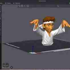 Ralph Macchio from Karate Kid