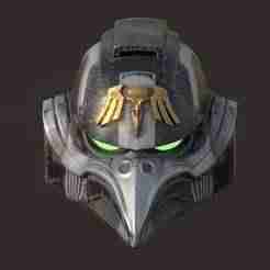 Raven Guard Helmet